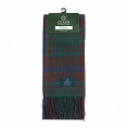 картинка Clans of Scotland MacGillivray Hunting Ancient от магазина  Mykilt